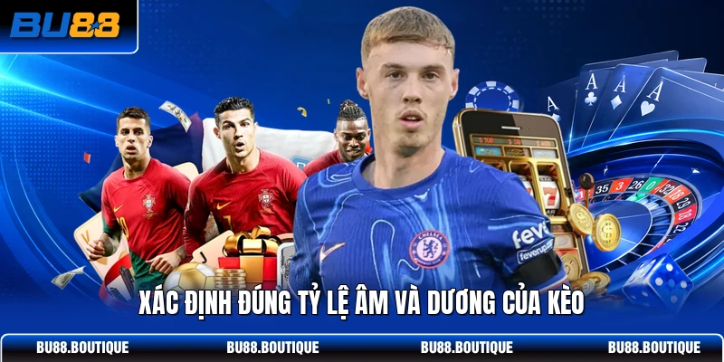Xác định đúng tỷ lệ âm và dương của kèo