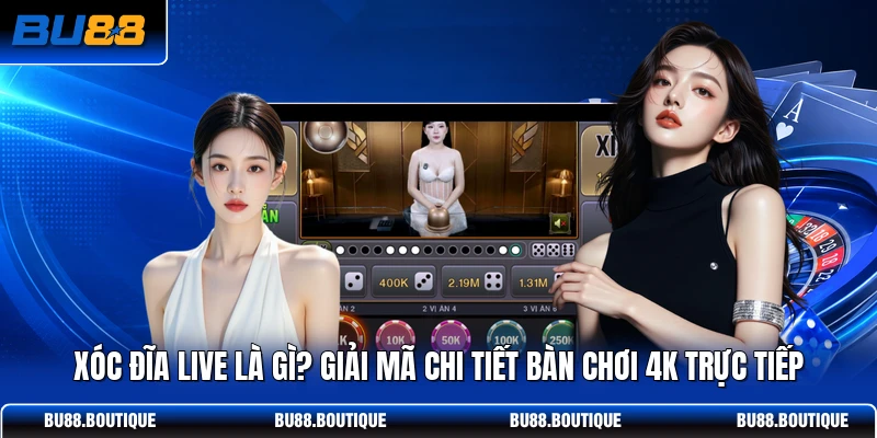 Xóc Đĩa Live Là Gì? Giải Mã Chi Tiết Bàn Chơi 4K Trực Tiếp